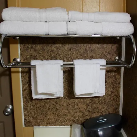 Executive Inn Goliad-3